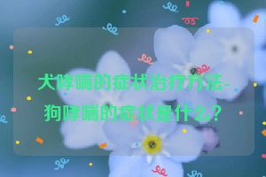 犬哮喘的症状治疗方法-狗哮喘的症状是什么？