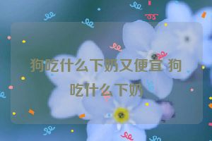 狗吃什么下奶又便宜 狗吃什么下奶