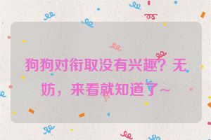 狗狗对衔取没有兴趣？无妨，来看就知道了~