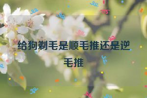 给狗剃毛是顺毛推还是逆毛推