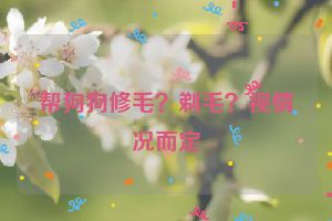 帮狗狗修毛？剃毛？视情况而定