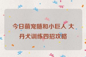 今日萌宠随和小巨人 大丹犬训练四招攻略