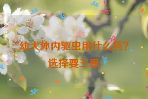 幼犬体内驱虫用什么药？选择要三思