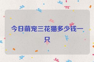 今日萌宠三花猫多少钱一只