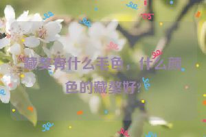 藏獒有什么毛色，什么颜色的藏獒好?