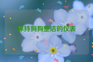 保持狗狗整洁的仪表