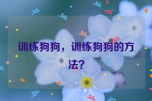 训练狗狗，训练狗狗的方法？