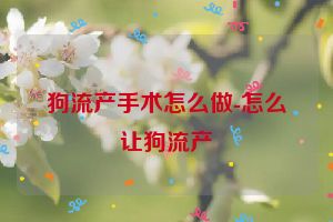 狗流产手术怎么做-怎么让狗流产