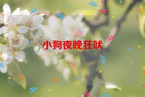 小狗夜晚狂吠