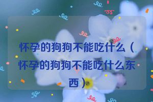 怀孕的狗狗不能吃什么（怀孕的狗狗不能吃什么东西）