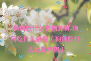 狗狗吃什么食物养胃-狗狗吃什么最好（狗狗吃什么比较养胃）