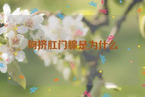 狗挤肛门腺是为什么