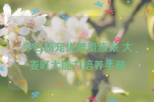 今日萌宠优雅贵族派 大麦町犬能力培养手册
