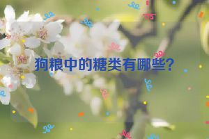 狗粮中的糖类有哪些？