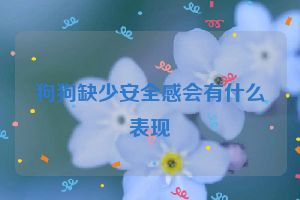 狗狗缺少安全感会有什么表现