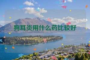 狗耳炎用什么药比较好