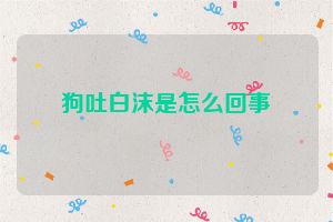 狗吐白沫是怎么回事