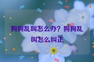 狗狗乱叫怎么办？狗狗乱叫怎么纠正