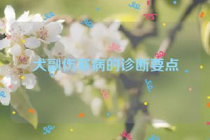 犬副伤寒病的诊断要点