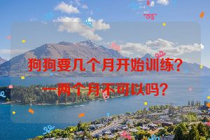 狗狗要几个月开始训练？一两个月不可以吗？