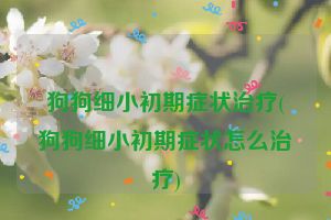 狗狗细小初期症状治疗(狗狗细小初期症状怎么治疗)