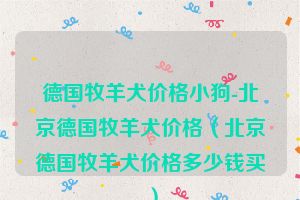 德国牧羊犬价格小狗-北京德国牧羊犬价格（北京德国牧羊犬价格多少钱买）