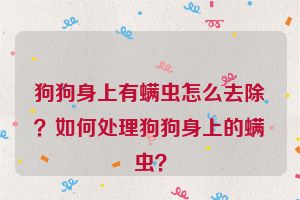 狗狗身上有螨虫怎么去除？如何处理狗狗身上的螨虫？