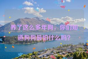 养了这么多年狗，你们知道狗狗最怕什么吗？