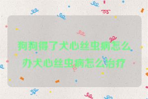 狗狗得了犬心丝虫病怎么办犬心丝虫病怎么治疗