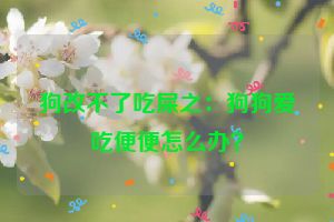 狗改不了吃屎之：狗狗爱吃便便怎么办？