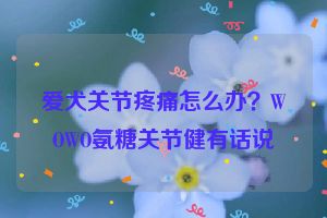 爱犬关节疼痛怎么办？WOWO氨糖关节健有话说