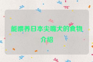 能喂养日本尖嘴犬的食物介绍