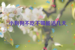 小狗狗不吃不喝能活几天