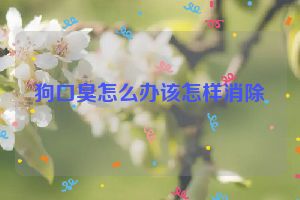 狗口臭怎么办该怎样消除