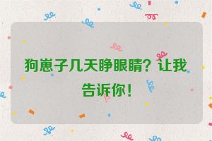 狗崽子几天睁眼睛？让我告诉你！