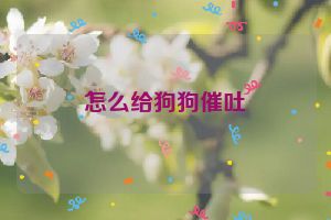 怎么给狗狗催吐