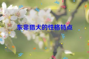 东非猎犬的性格特点