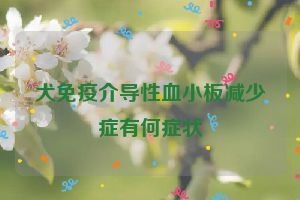 犬免疫介导性血小板减少症有何症状