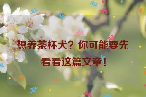 想养茶杯犬？你可能要先看看这篇文章！