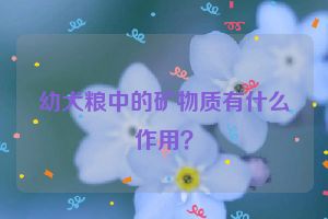 幼犬粮中的矿物质有什么作用？