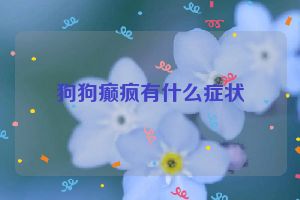 狗狗癫疯有什么症状