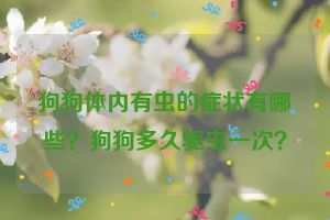 狗狗体内有虫的症状有哪些？狗狗多久驱虫一次？