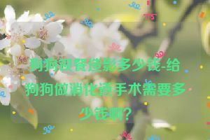 狗狗钡餐造影多少钱-给狗狗做消化道手术需要多少钱啊？