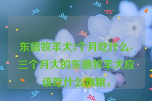 东德牧羊犬3个月吃什么-三个月大的东德牧羊犬应该吃什么狗粮，