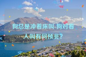 狗总是冲着床叫-狗对着人叫有何预兆？