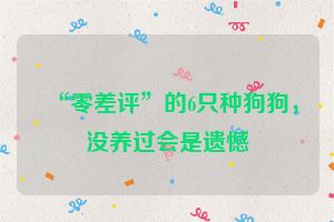 “零差评”的6只种狗狗，没养过会是遗憾