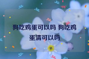 狗吃鸡蛋可以吗 狗吃鸡蛋清可以吗