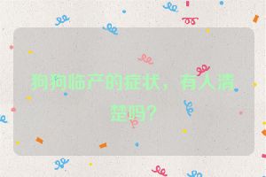 狗狗临产的症状,有人清楚吗?