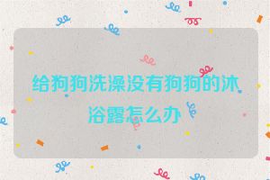 给狗狗洗澡没有狗狗的沐浴露怎么办
