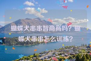 蝴蝶犬串串智商高吗？蝴蝶犬串串怎么训练？